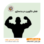 تائورین در بدنسازی